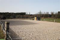 Pferdeboxe mit grossem Auslauf in St. Urban, nähe Langenthal