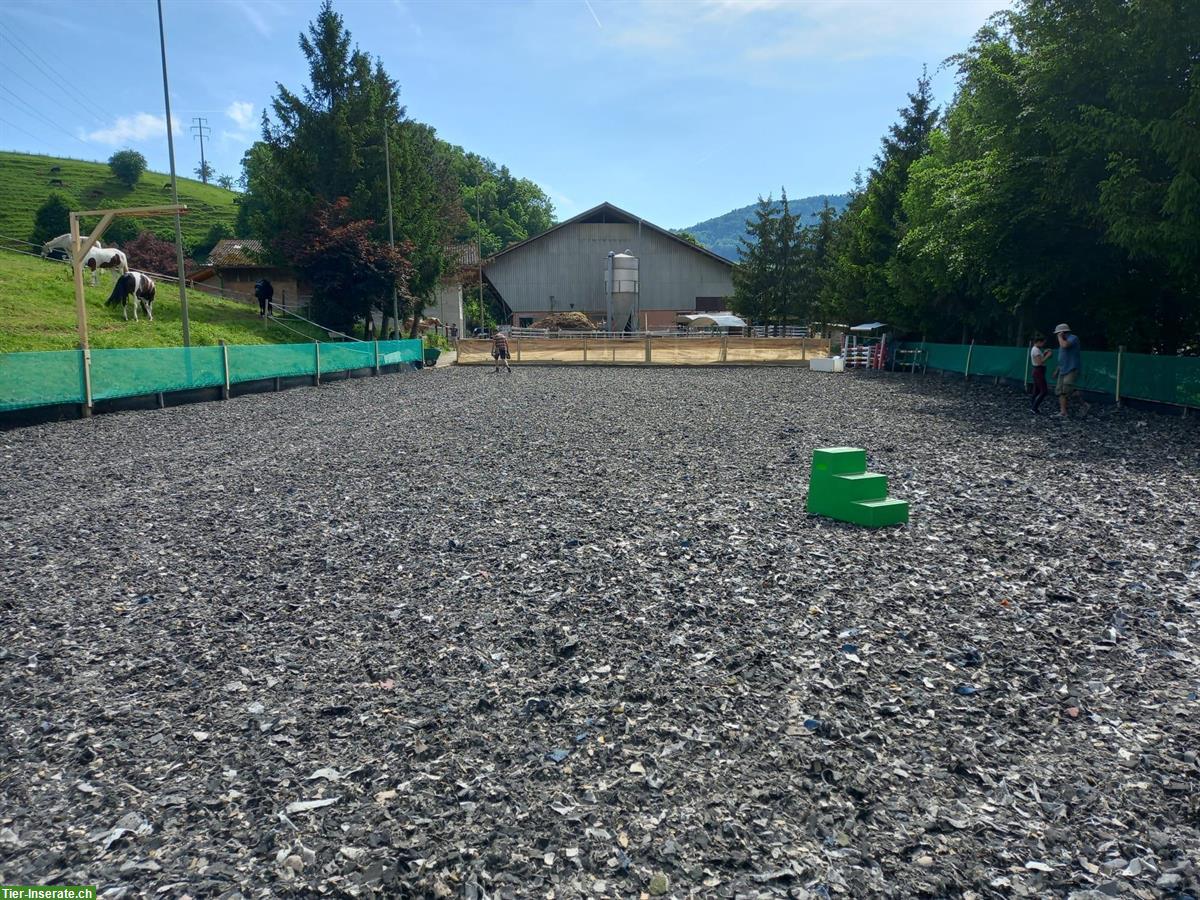 Bild 4: Pferdeboxen zu vermieten im schönen Waldenburgertal