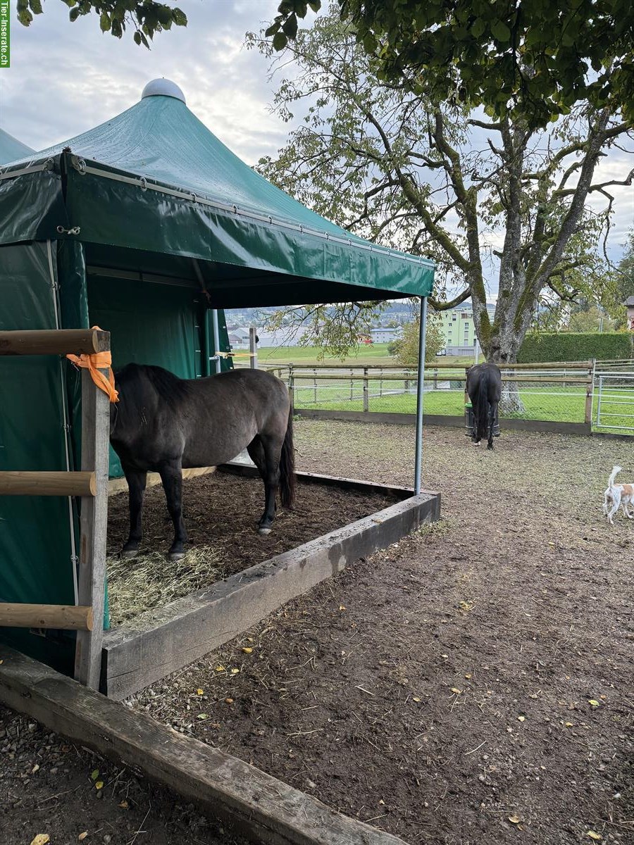 Bild 6: Selbstversorger Stall in Reinach AG