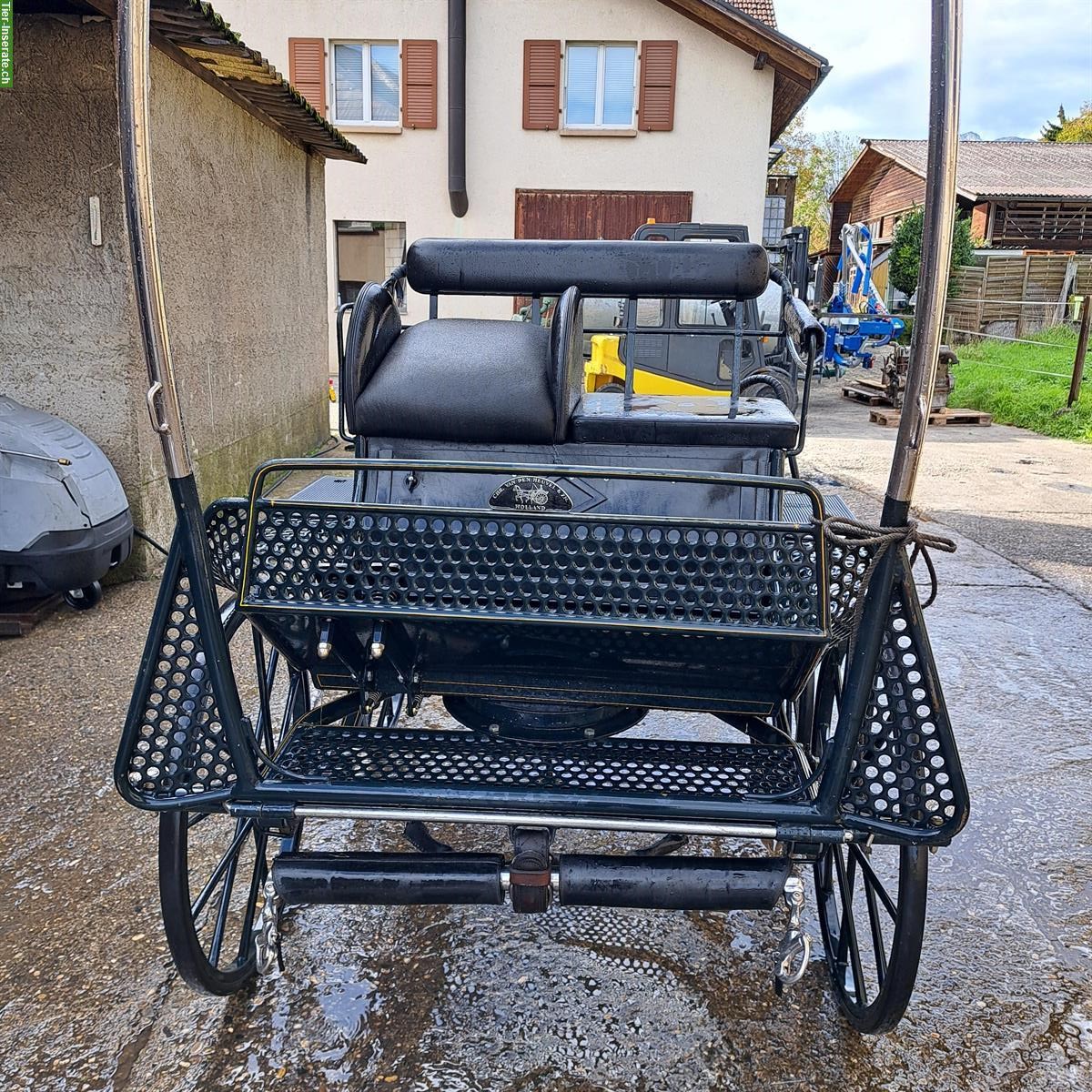 Bild 3: Marathonwagen, 1-spänner Kutsche