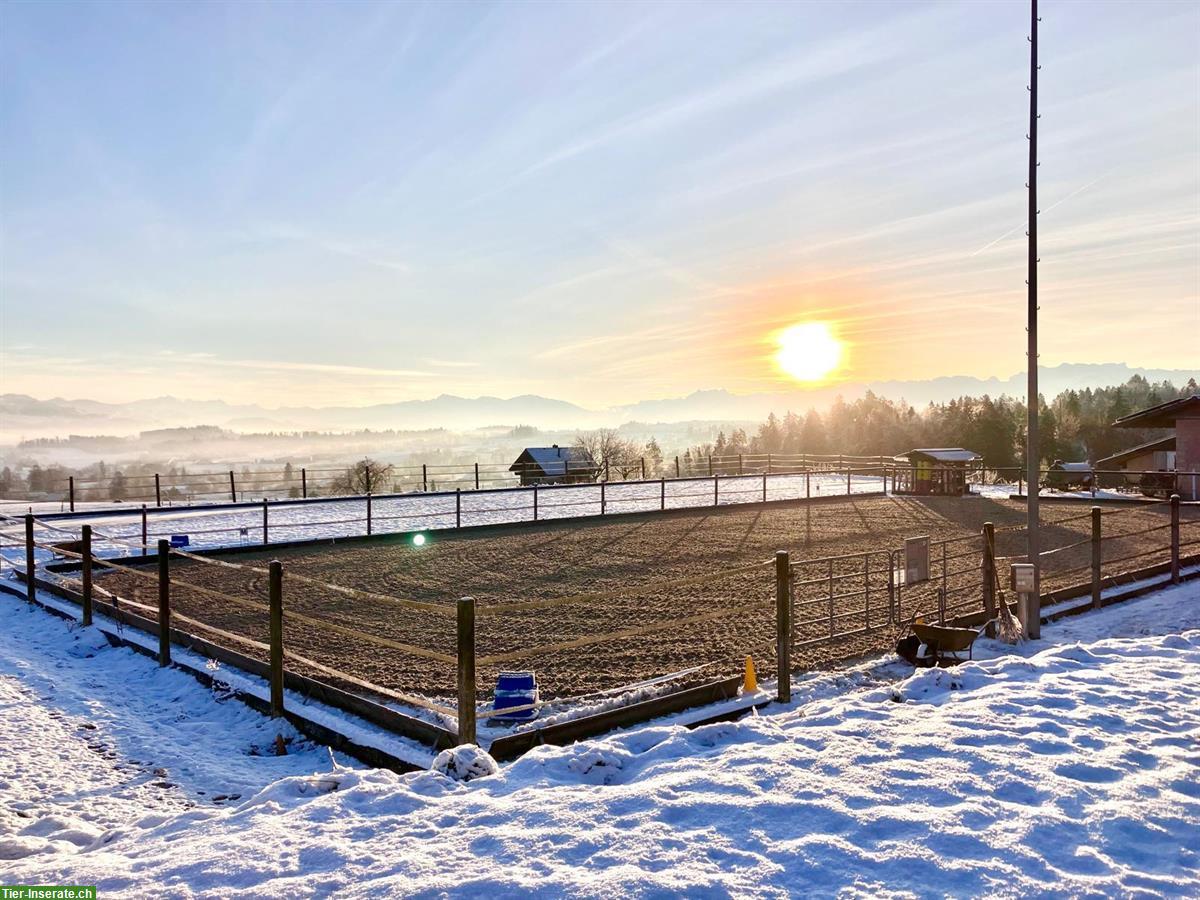 Bild 2: Auslaufboxe zu vermieten in Egg, Zürcher Oberland