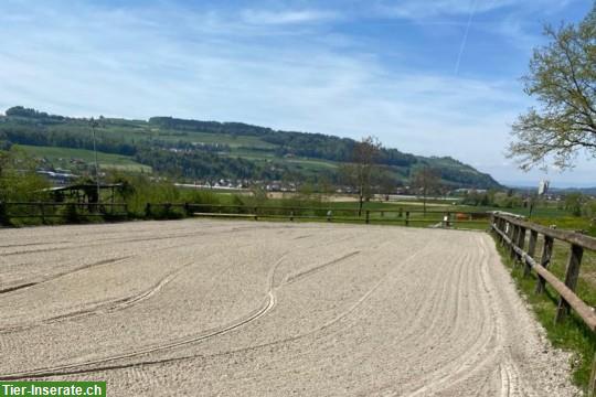 Bild 5: Zu vermieten grosse Auslaufboxe in Kiesen BE