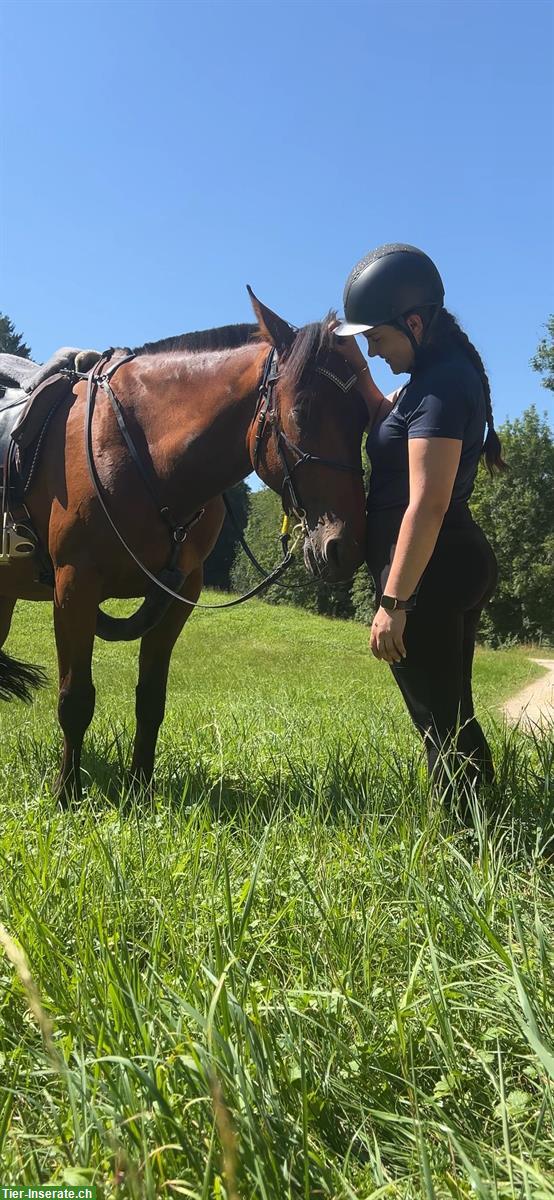 Bild 2: Reitcoaching - Angst beim Reiten kann JEDEN treffen!