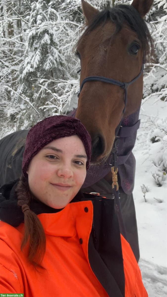 Bild 3: Reitcoaching - Angst beim Reiten kann JEDEN treffen!