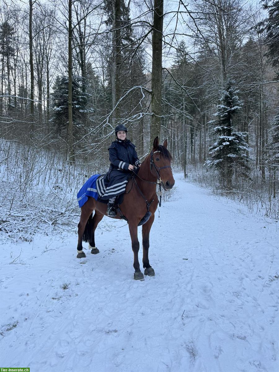 Bild 4: Reitcoaching - Angst beim Reiten kann JEDEN treffen!