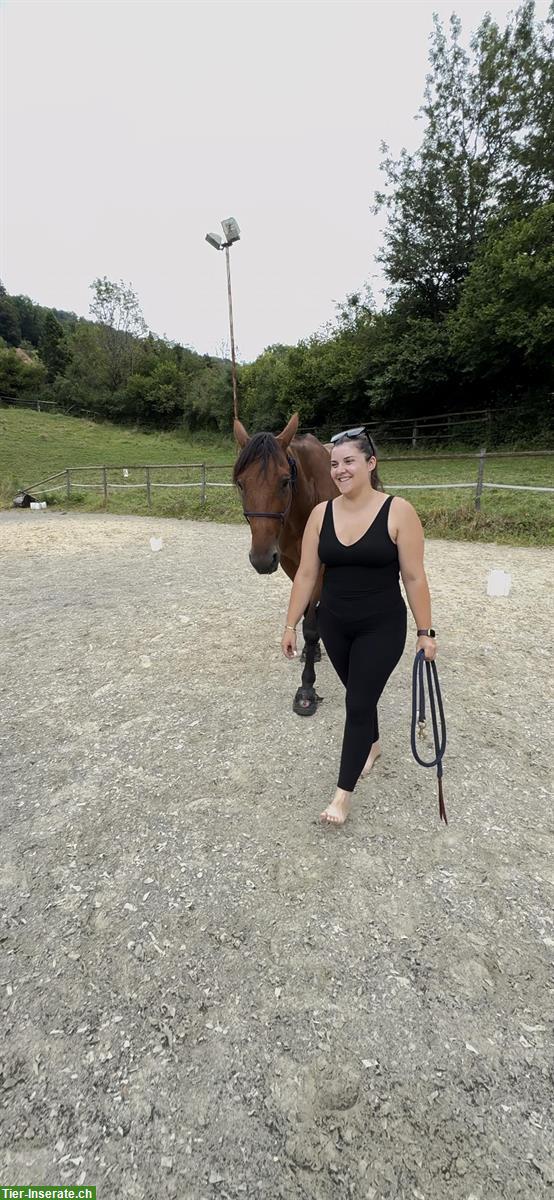 Bild 6: Reitcoaching - Angst beim Reiten kann JEDEN treffen!