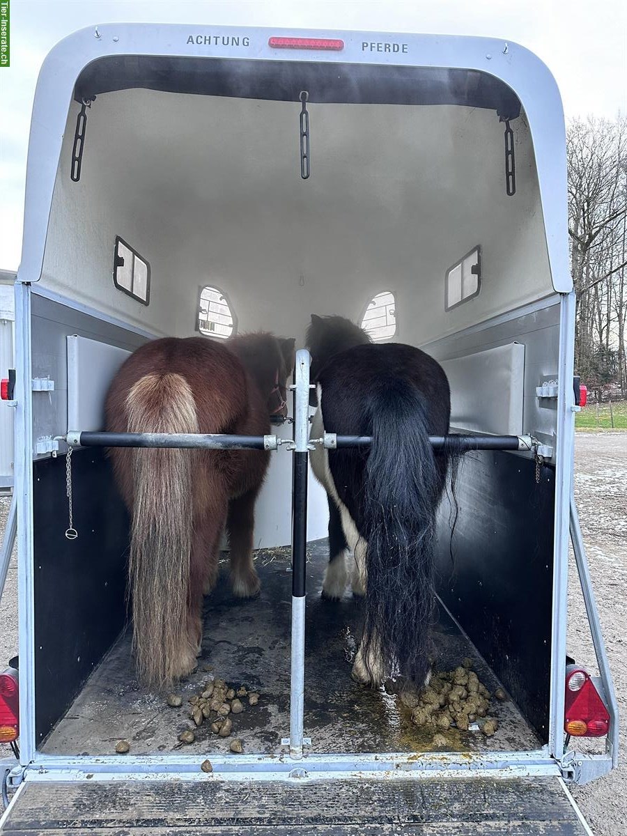 Bild 2: Mobile Solekammer in Pferdehänger