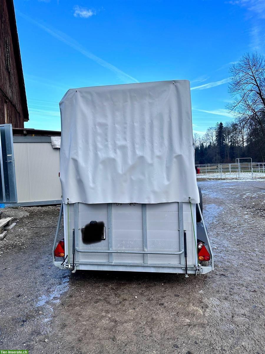 Bild 6: Mobile Solekammer in Pferdehänger