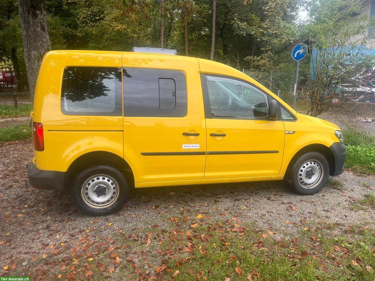 Verkauf: VW Caddy 4x4 mit Ausbau für Hunde