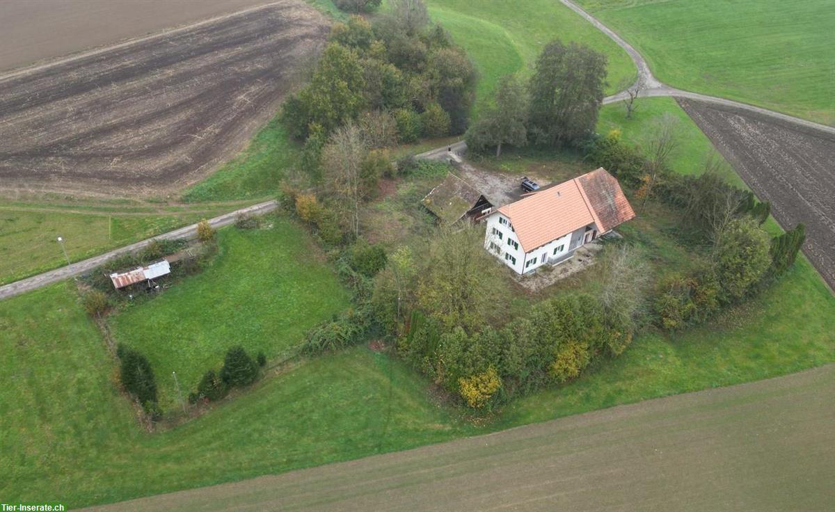 Bild 2: Neubau-Traum im Grünen - Wohnhaus mit 2 modernen Wohnungen & Stall