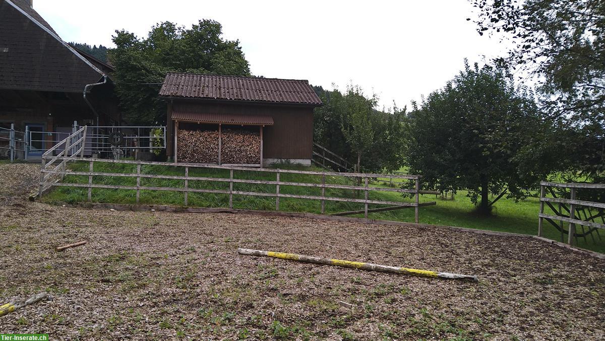 Bild 4: 2 Pferdeboxen mit Schnitzelplatz ca. 350m2 in Melchnau BE