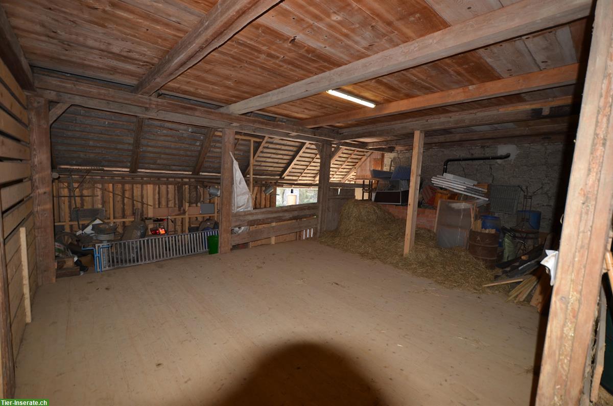 Bild 8: 2 Pferdeboxen mit Schnitzelplatz ca. 350m2 in Melchnau BE