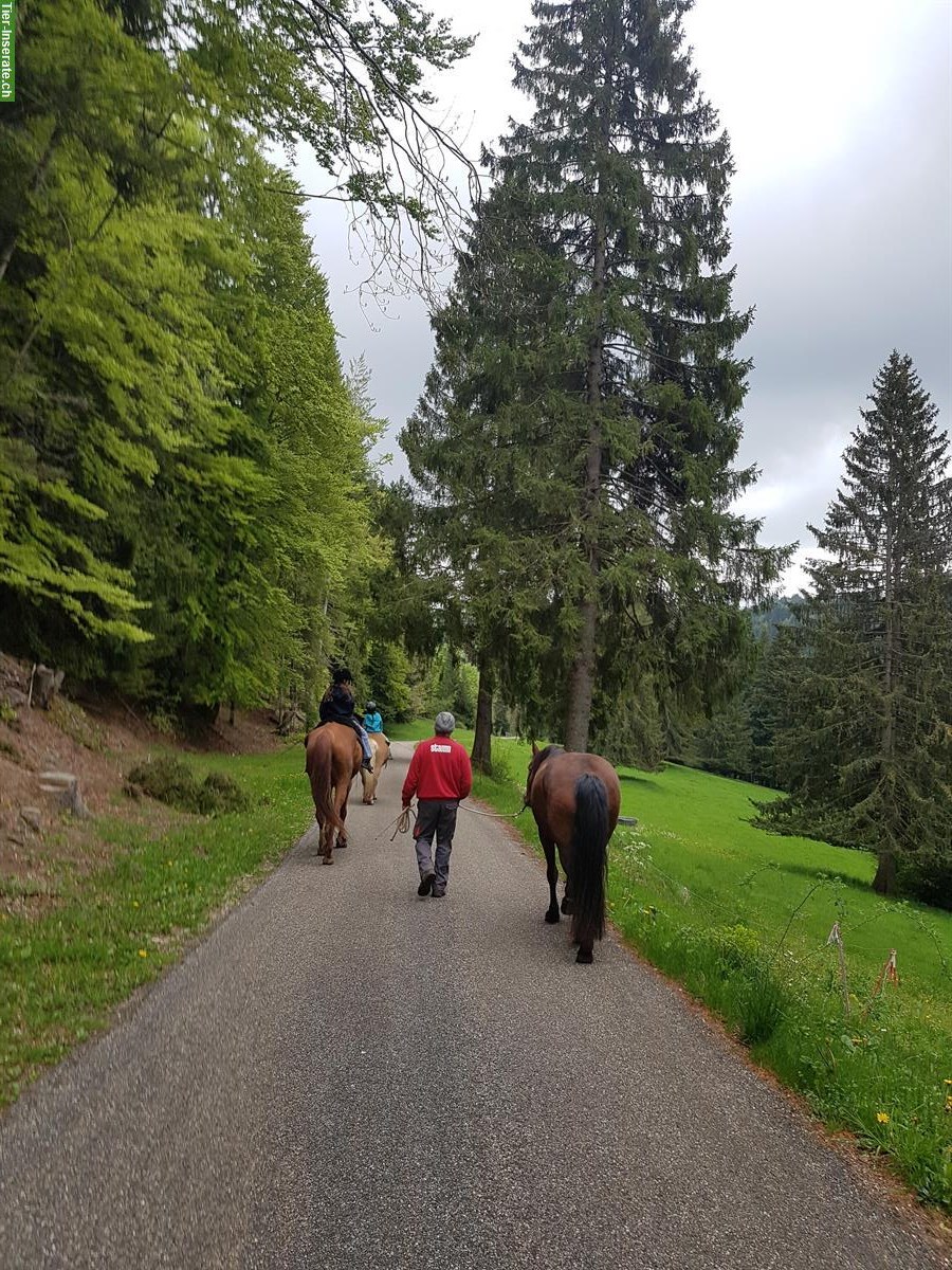 Ferien auf dem Bauernhof für Familien und Naturliebhaber