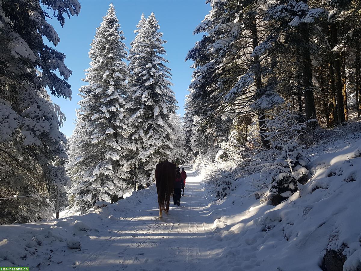 Bild 2: Ferien auf dem Bauernhof für Familien und Naturliebhaber