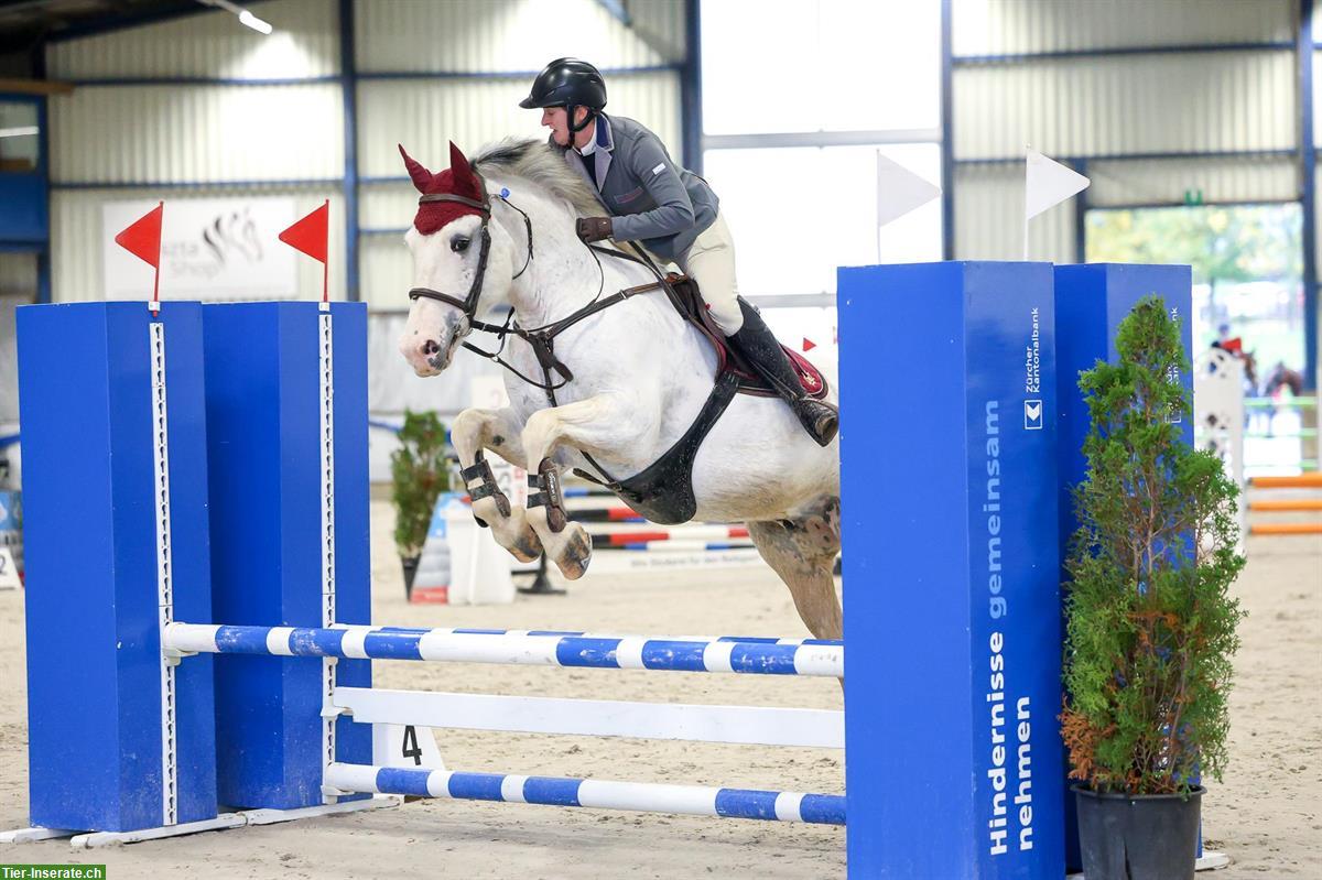 Bild 3: Reitbeteiligung auf Freiberger in Dettighofen