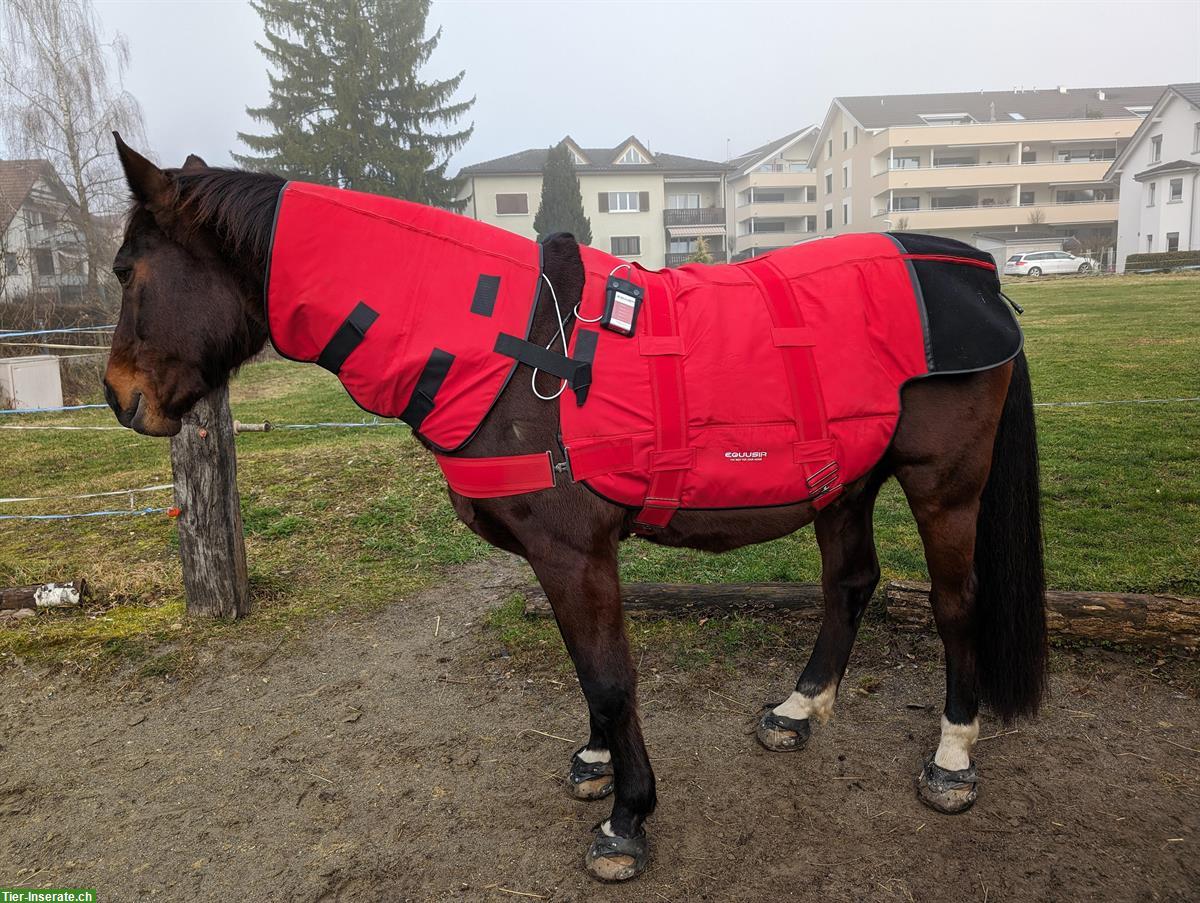 EQUUSIR BIOS Pferdedecke zu verkaufen