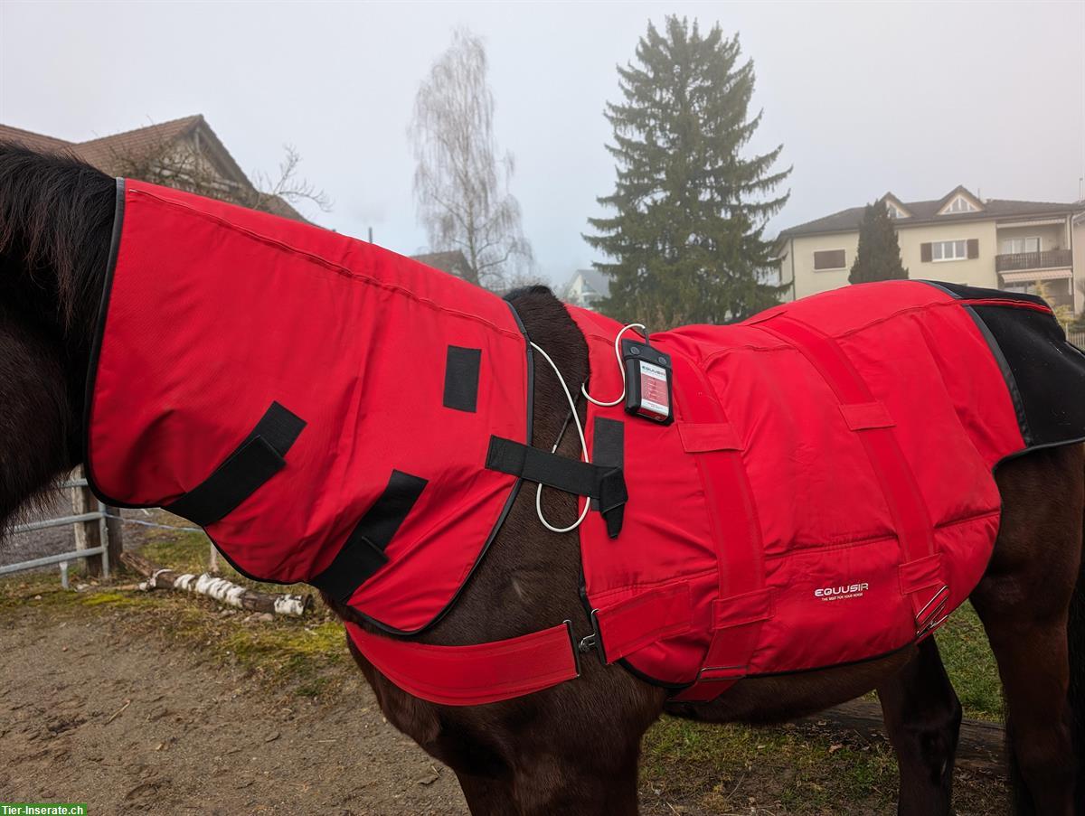 Bild 2: EQUUSIR BIOS Pferdedecke zu verkaufen