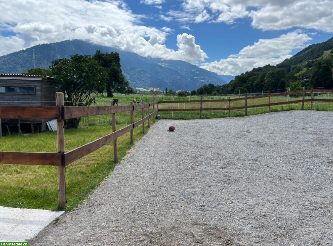 Bild 2: Freie Plätze in Offenstall in Haldenstein, Graubünden