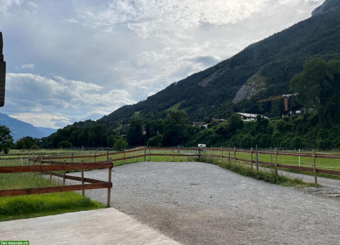 Bild 6: Freie Plätze in Offenstall in Haldenstein, Graubünden