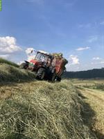 Heu in Kleinballen gepresst zu verkaufen