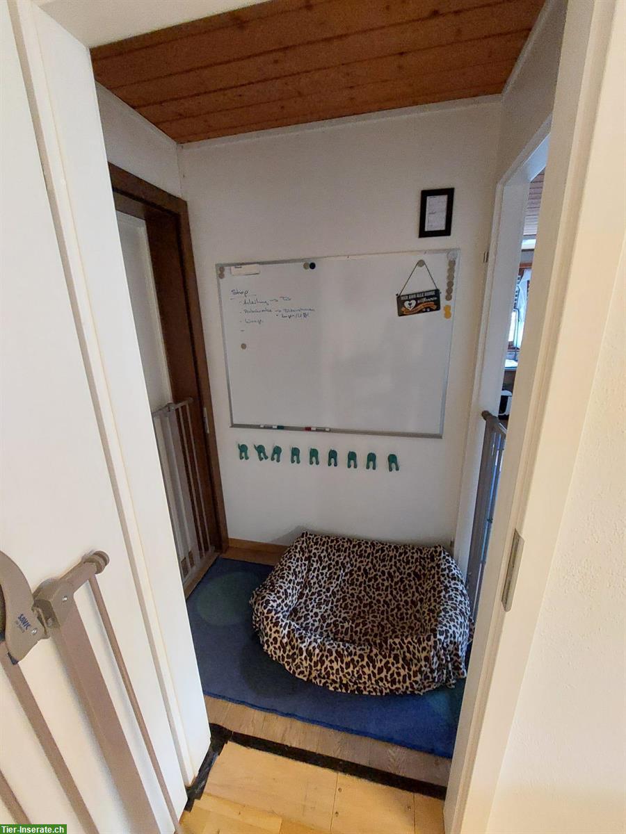 Bild 4: Helle 4.5 Zimmer Wohnung frei in Embrach ZH