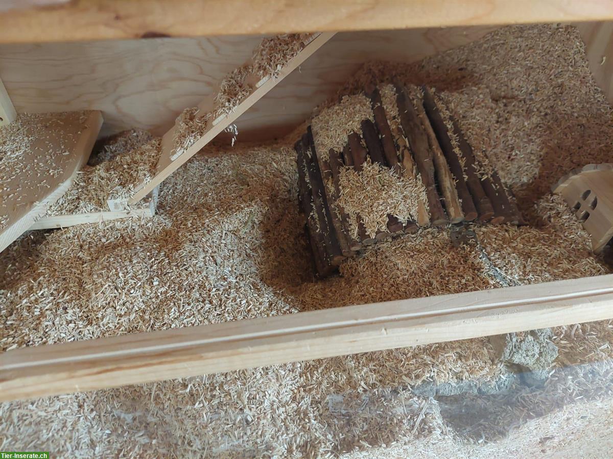 Bild 2: Grosser Hamsterstall aus Holz mit Zubehör