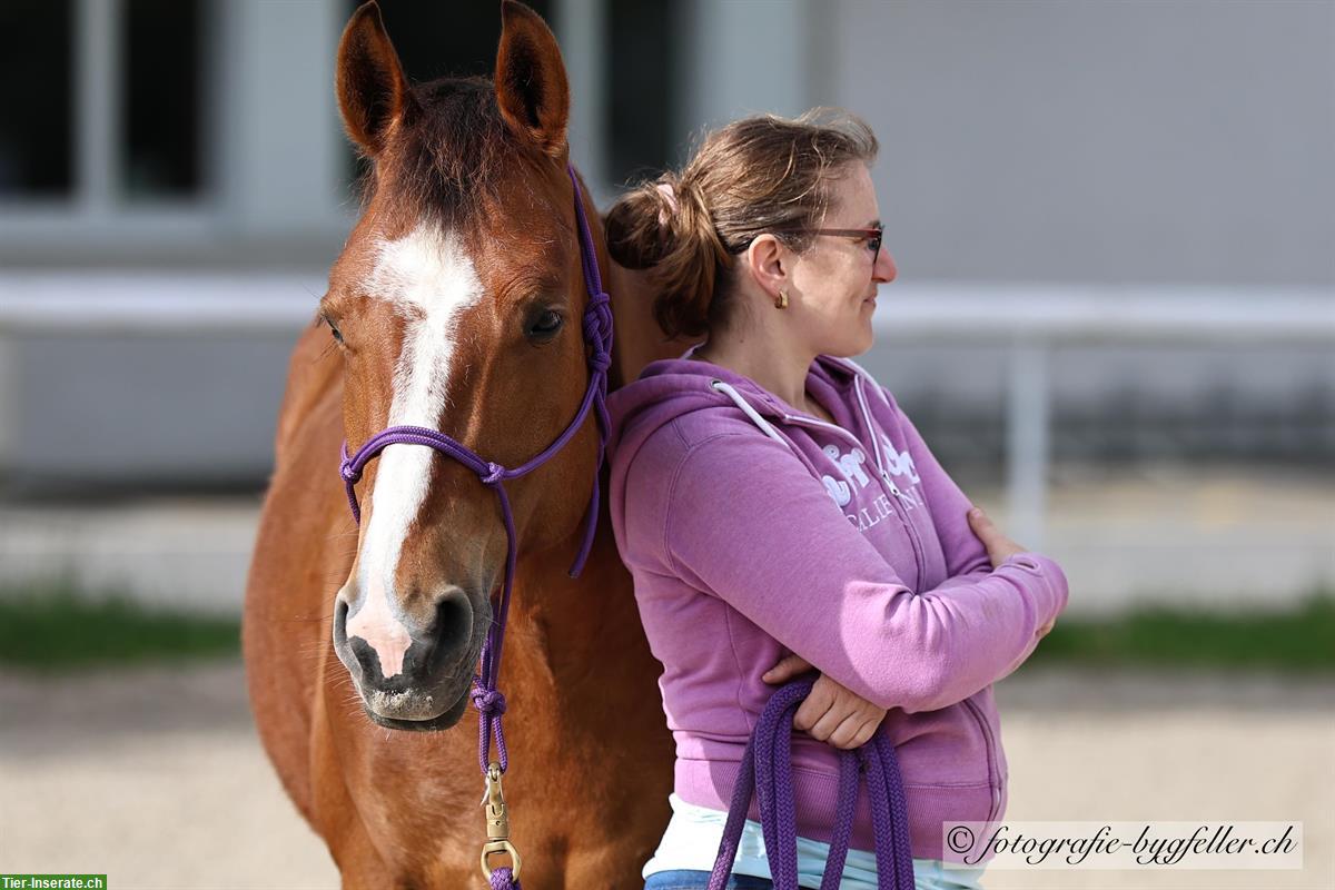 Bild 2: Sportliche Reitbeteiligung in Othmarsingen AG