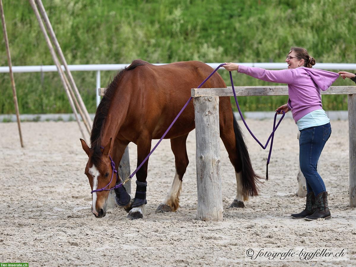 Bild 6: Sportliche Reitbeteiligung in Othmarsingen AG