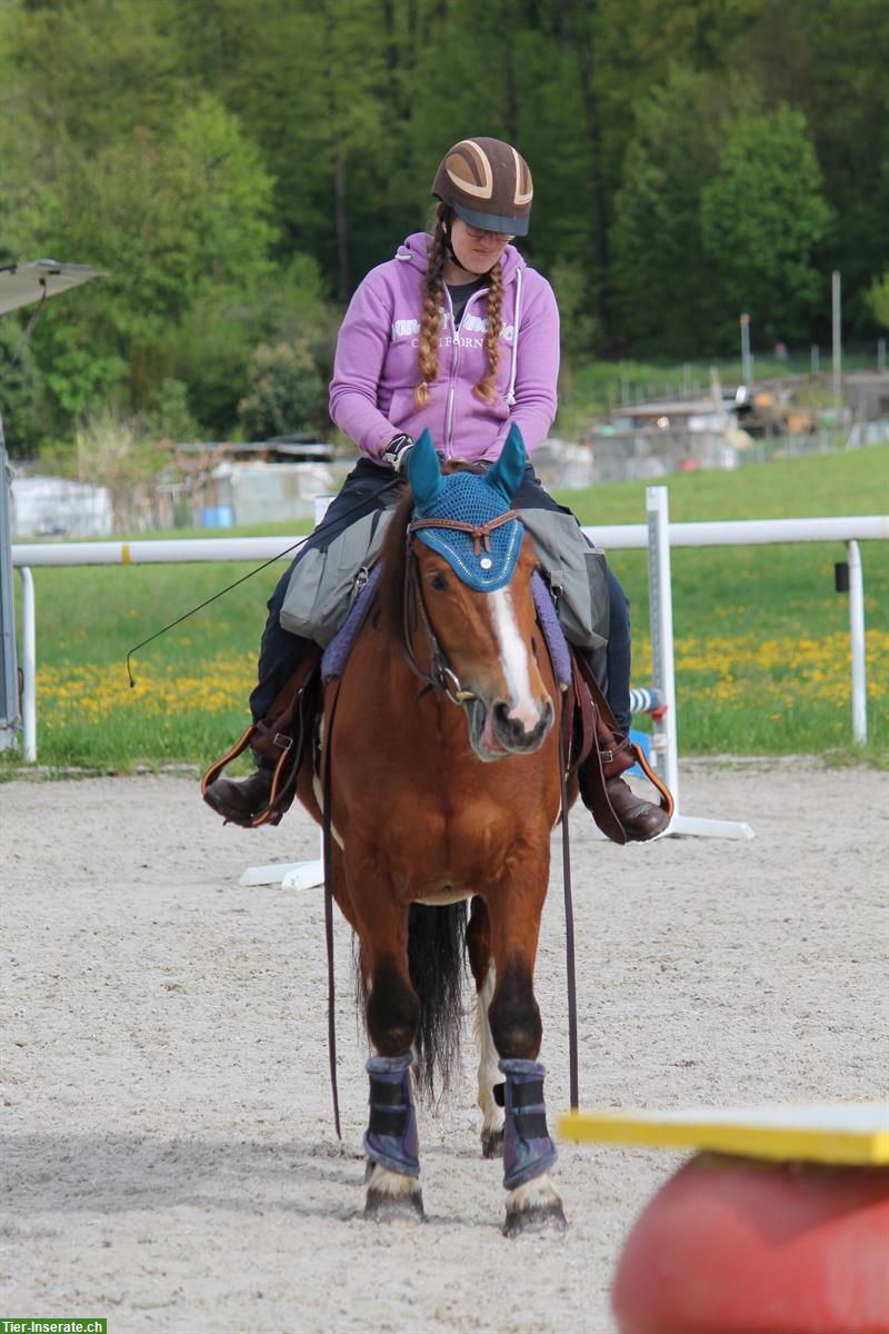 Bild 7: Sportliche Reitbeteiligung in Othmarsingen AG