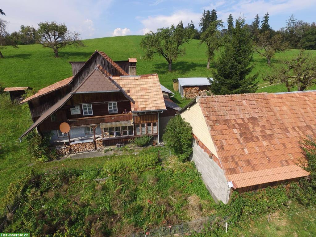 Vermieten Wohnung in altem Bauernhaus