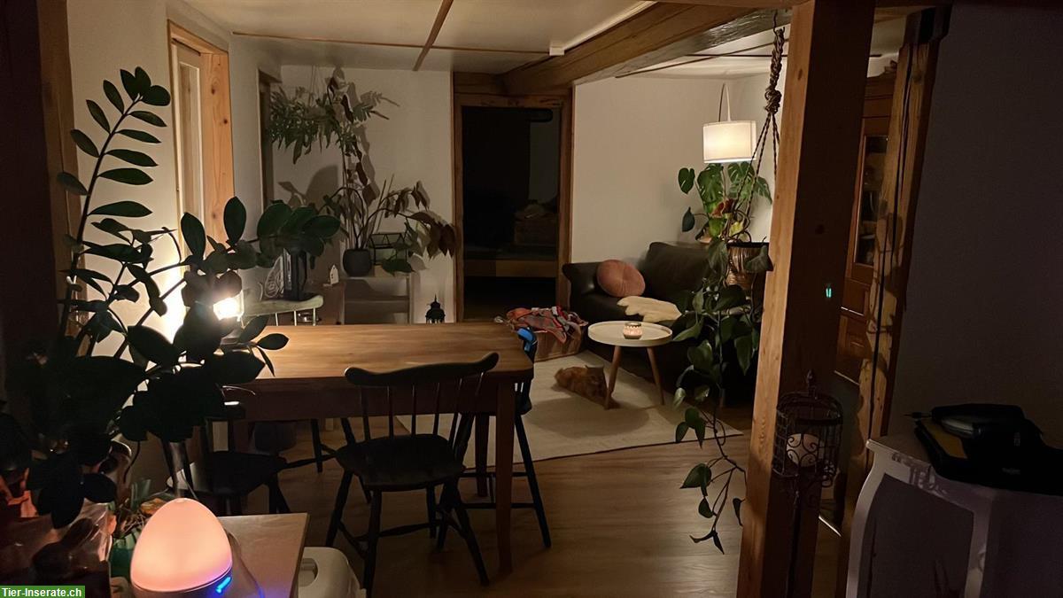 Bild 4: Vermieten Wohnung in altem Bauernhaus