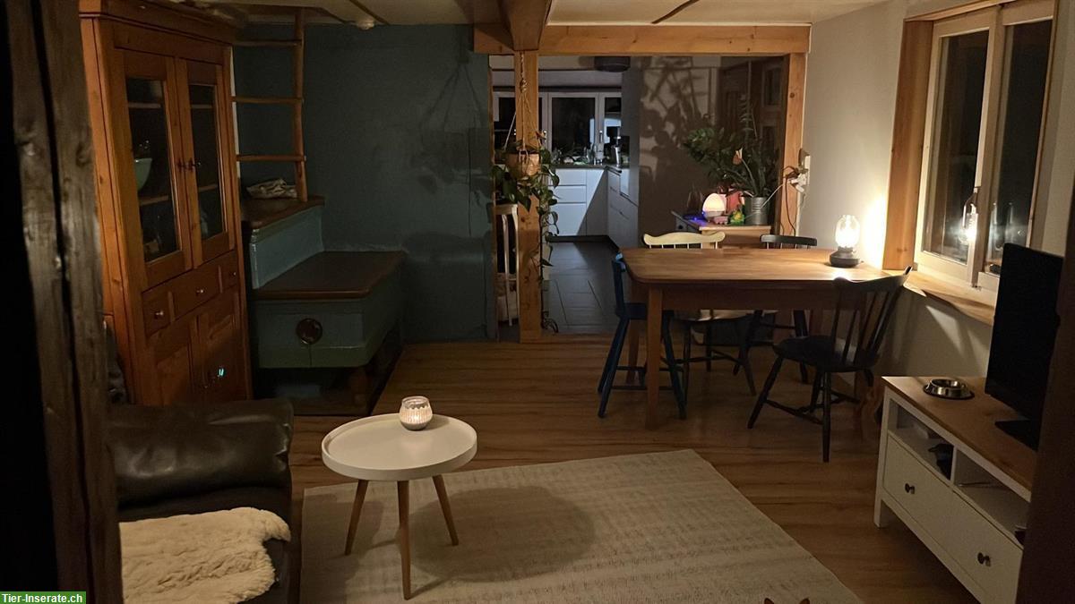 Bild 5: Vermieten Wohnung in altem Bauernhaus