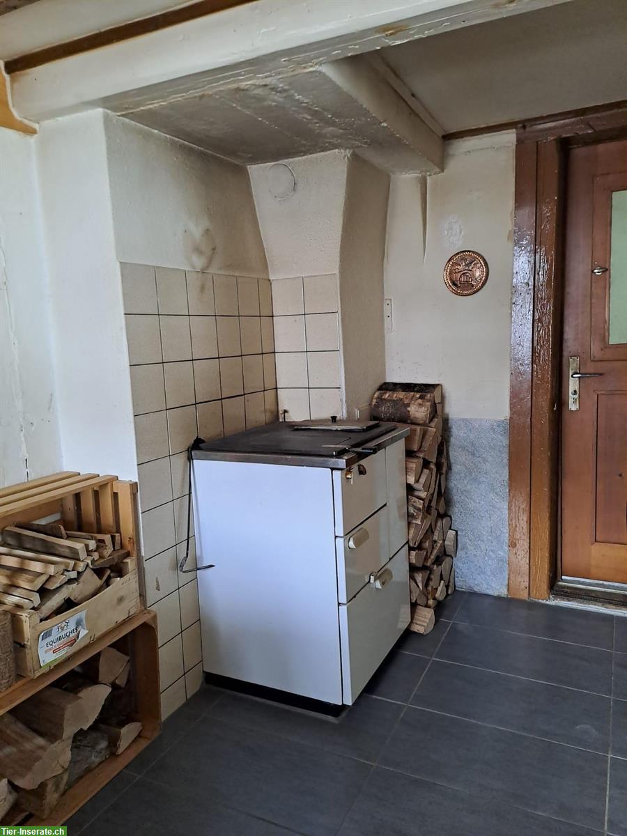 Bild 9: Vermieten Wohnung in altem Bauernhaus