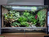 Terrarium 80x50x50cm mit Regenanlage zu verkaufen