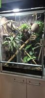 Terrarium 80x60x40cm mit Zubehör zu verkaufen