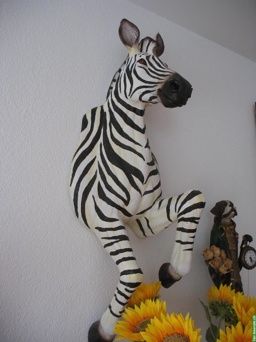 Deko Zebra in Original Grösse