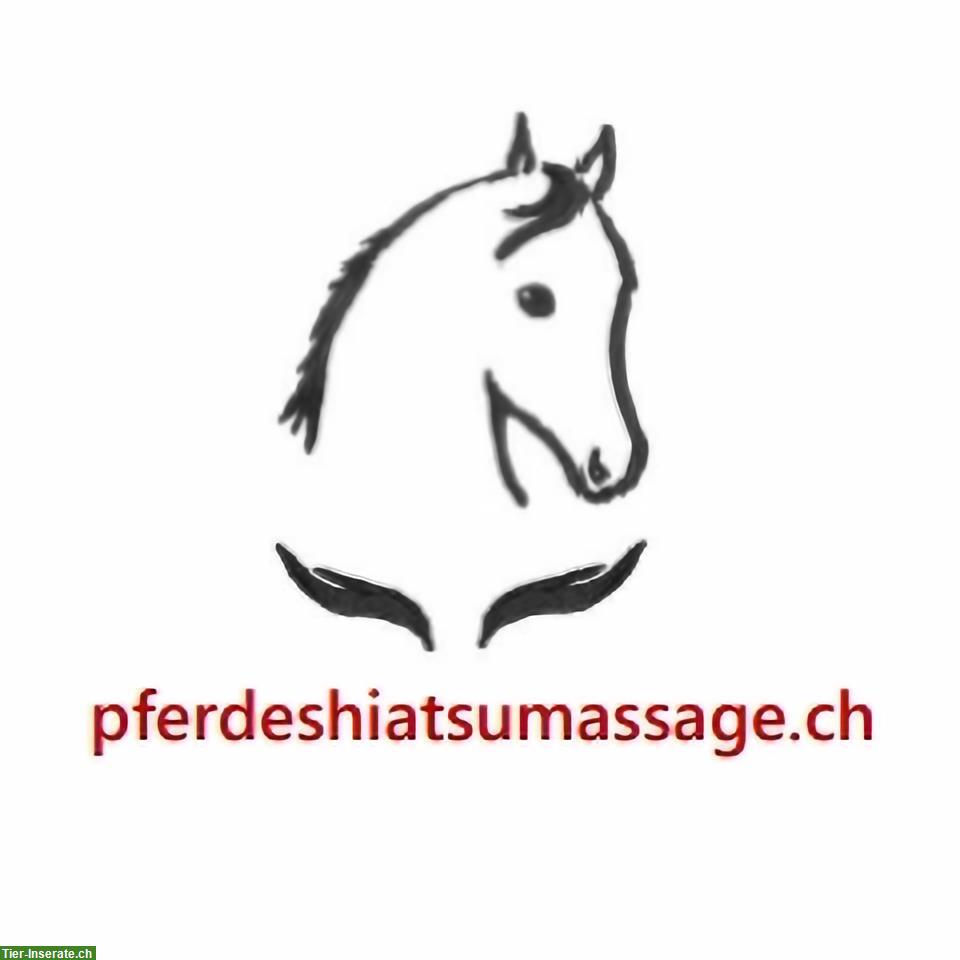 Bild 2: Gutscheine für Pferde Shiatsu Behandlung