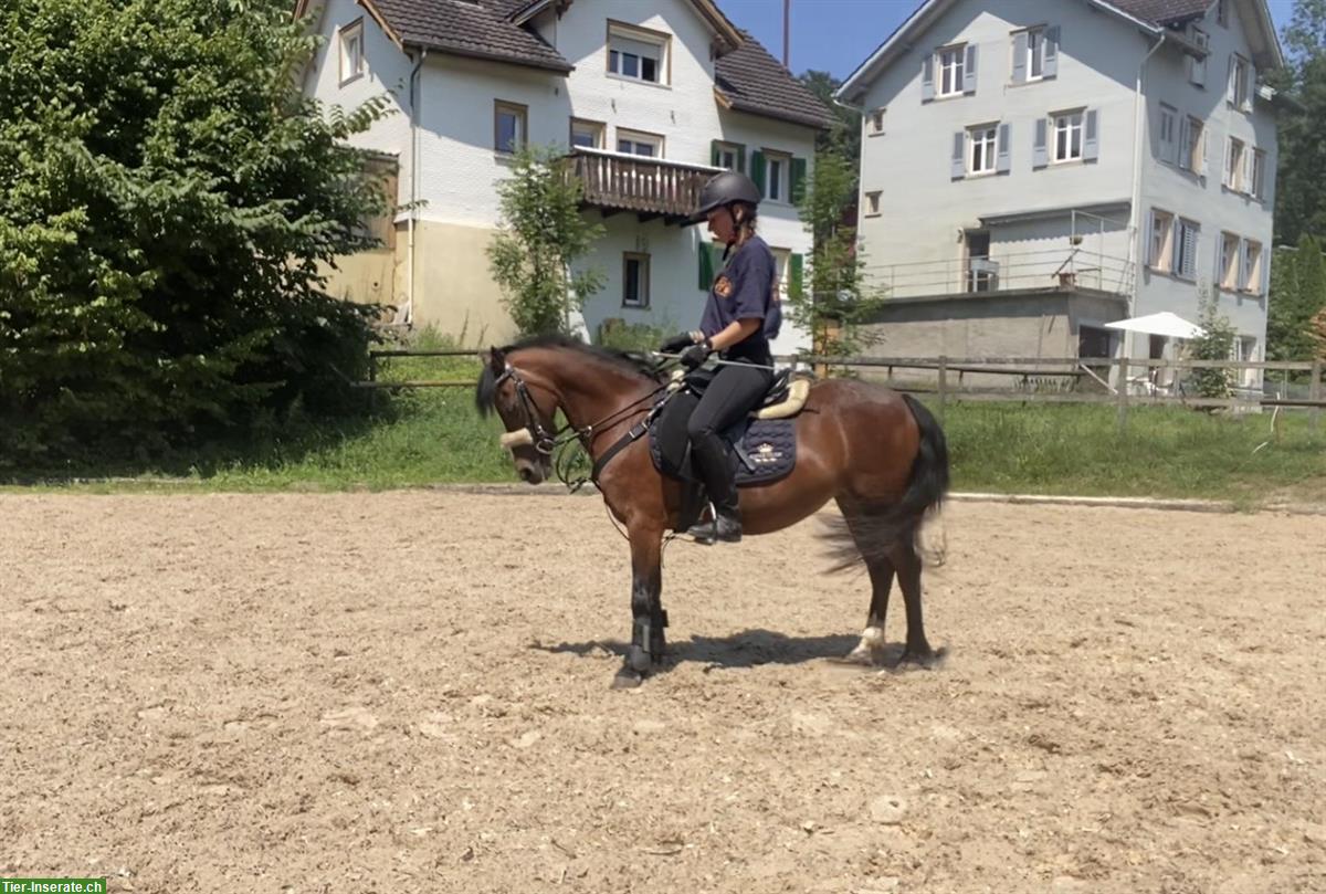 Reitschule Thundorf für Kleinkinder ab 3 Jahren bis leichte Erwachsene