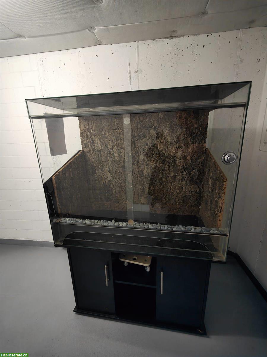 Glasterrarium inkl. Unterschrank zu verkaufen