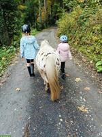 Pony Reiterinnen gesucht, Untereggen SG