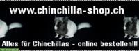 Chinchilla Online Shop | ALLES für Chinchillas!