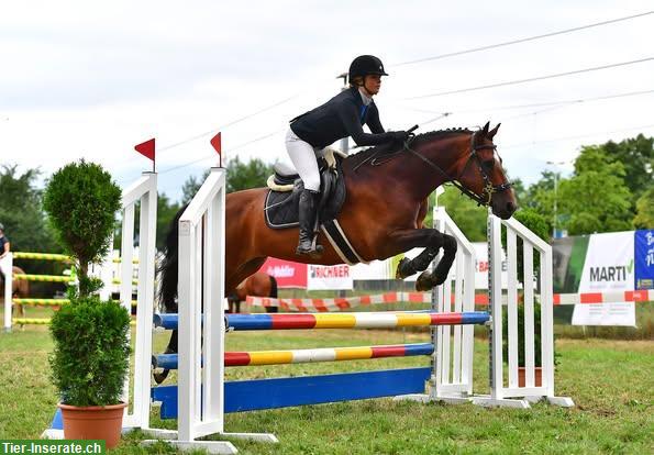 Wunderschönes und liebevolles Pferd🐴 leider zu verkaufen