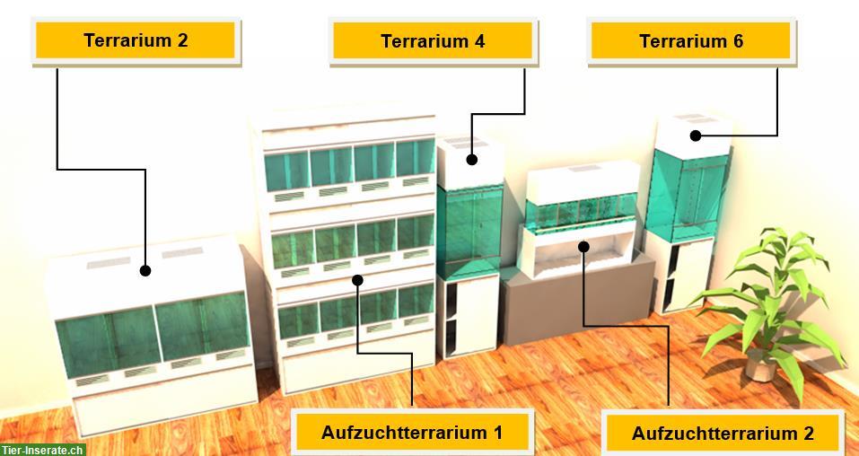 Terrarienanlage komplett mit viel Zubehör zu verkaufen