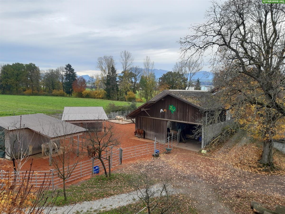 Bild 2: 1 -2 Offenstallplätze frei für Wallache in Sempach LU