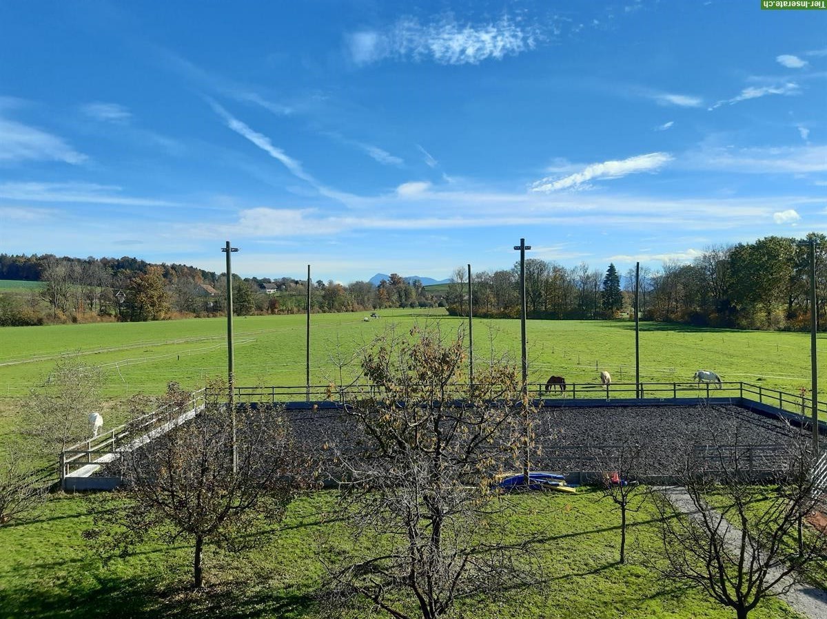 Bild 7: 1 -2 Offenstallplätze frei für Wallache in Sempach LU