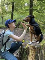 Gesunder Hund, harmonisches Miteinander, stressfreier Spaziergang