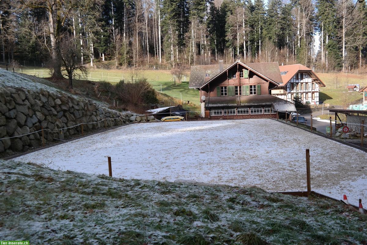 Bild 8: 2er-Gruppenstall und/oder Boxe Vollpension, Selbst- oder Teilversorger