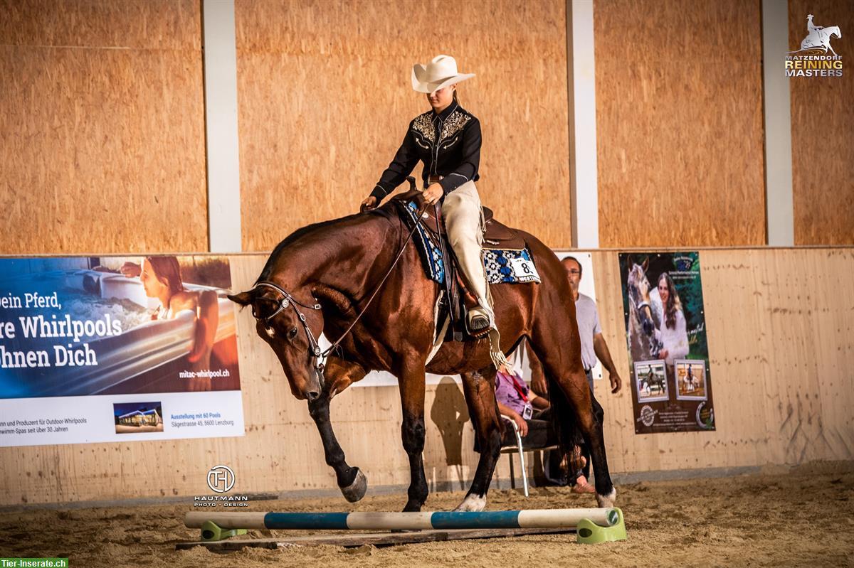 Bild 4: Reitbeteiligung für CH-Warmblut in Holziken AG