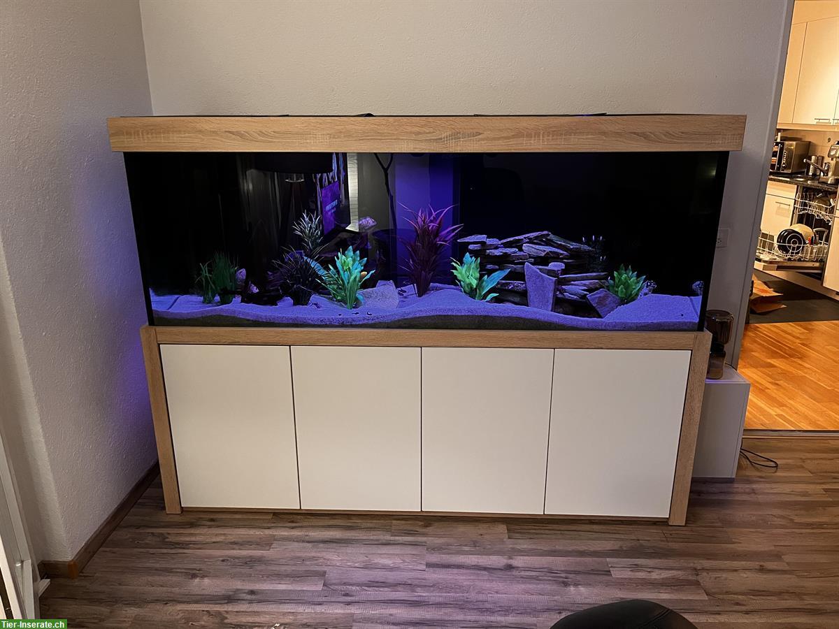 Aquarium 980 Liter, 200x70x70cm