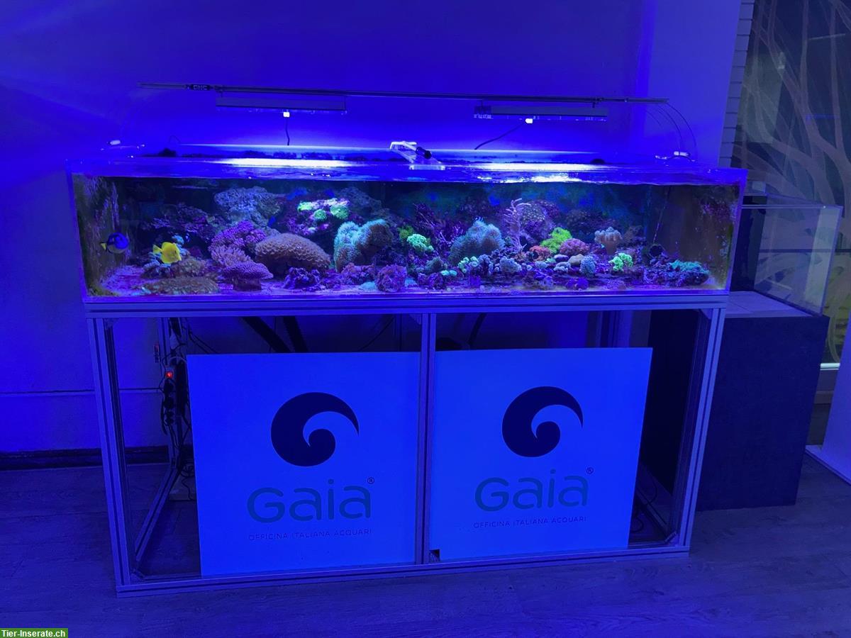 Bild 3: Mehrere Aquarien und Module zu verkaufen